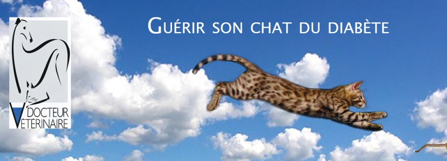(c) Guerir-son-chat-du-diabete.fr